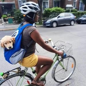 Meet your Posher, Dharini